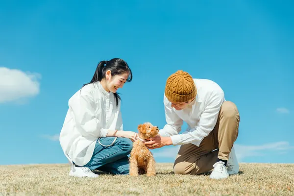 飼い主と犬の相談風景