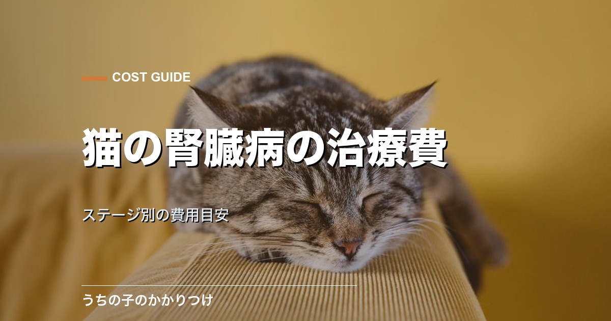 猫の慢性腎臓病の治療費|ステージ別の月々・年間費用の目安