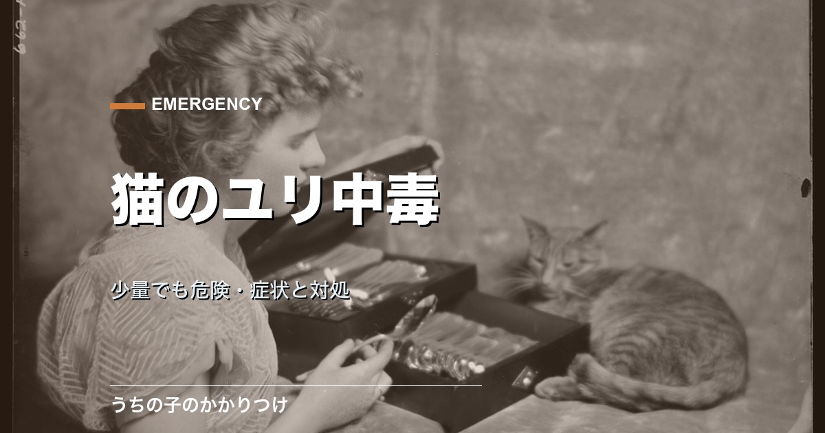 猫のユリ中毒は少量でも危険|症状・対処・受診の目安