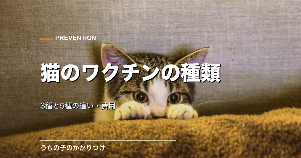 猫のワクチンの種類は3種と5種どっち?違いと選び方・費用の目安