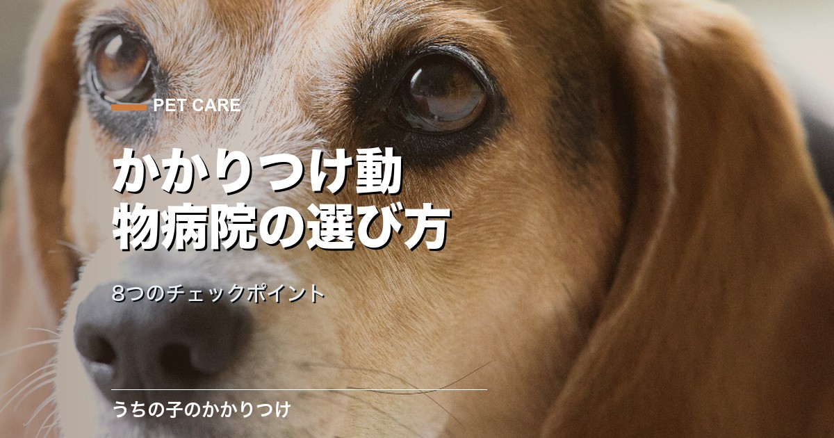 動物病院のかかりつけの選び方|8つのチェックポイントとNGサイン