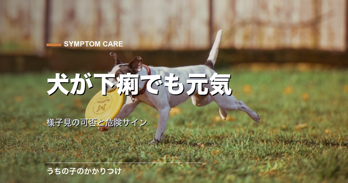 犬が下痢でも元気なら様子見でいい?受診の目安と危険なサイン