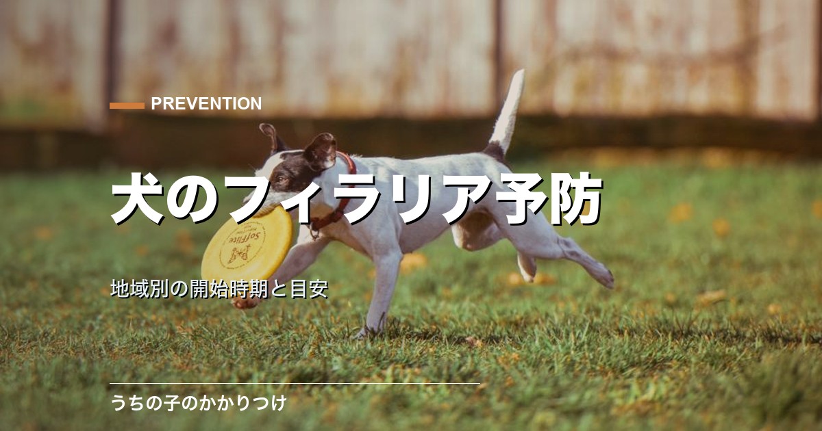 犬のフィラリア予防はいつから?いつまで?地域別の開始時期と目安