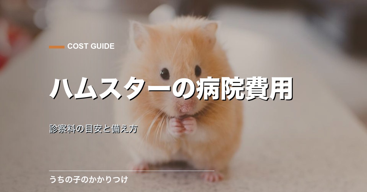 ハムスターの動物病院の費用はいくら?診察料の目安と備え方