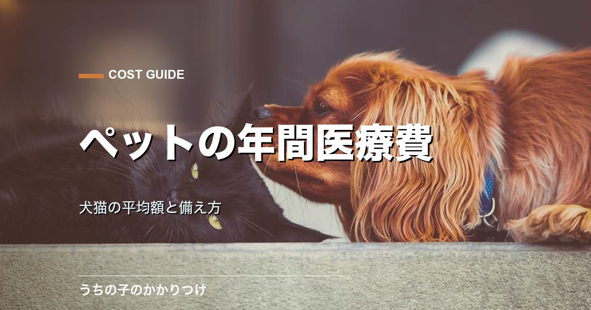 ペットの年間医療費の平均は?犬猫の年齢別データと備え方