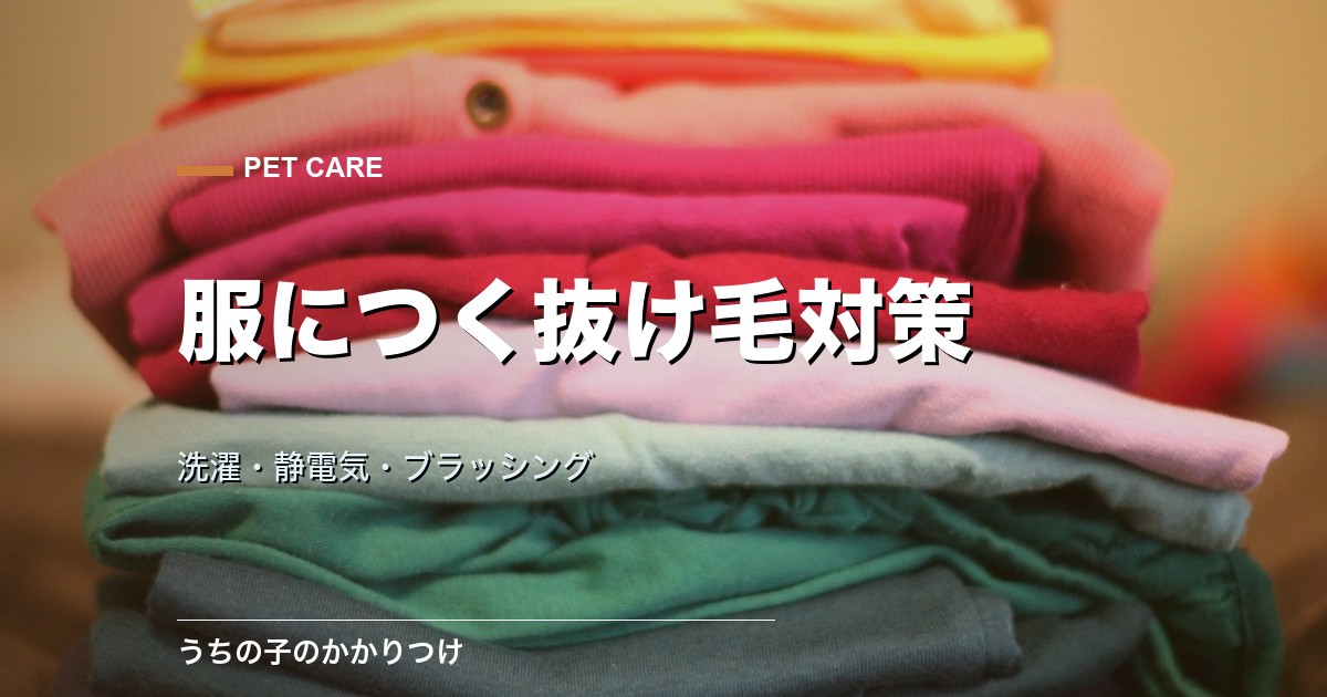 ペットの抜け毛が服につく悩みの対策|洗濯・静電気・ブラッシング