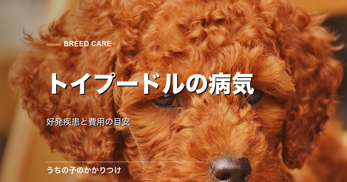 トイプードルがかかりやすい病気|好発疾患と費用の目安