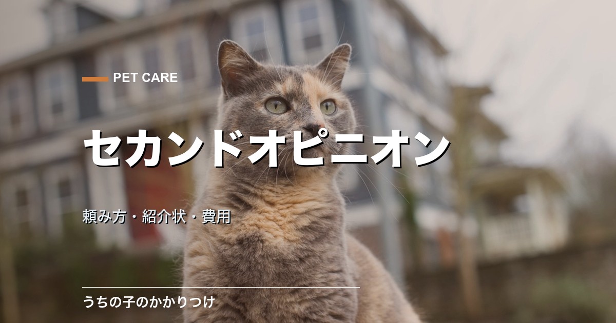動物病院のセカンドオピニオン|頼み方・紹介状・費用の目安